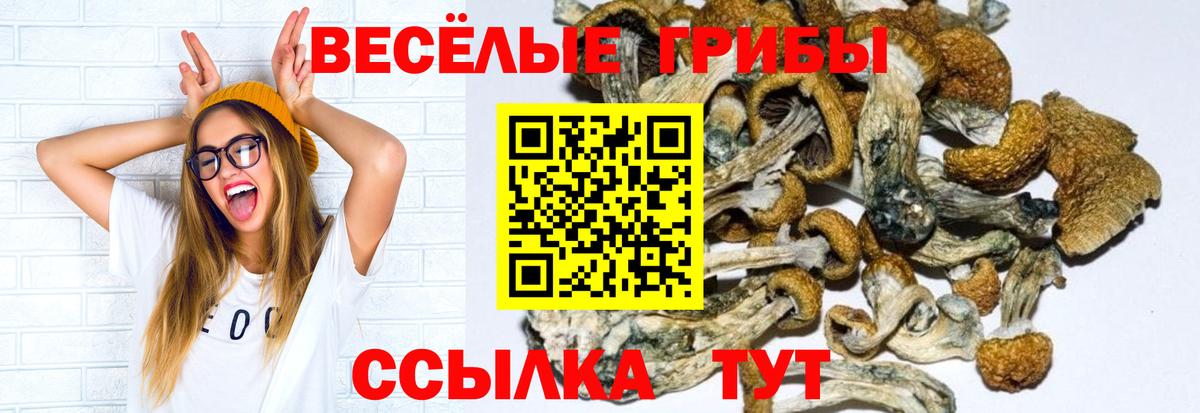 Меф МЯУ МЯУ кристаллы  НБОМе  Вход с VPN  Кокаин  ГАШ  Орёл  Канабис 