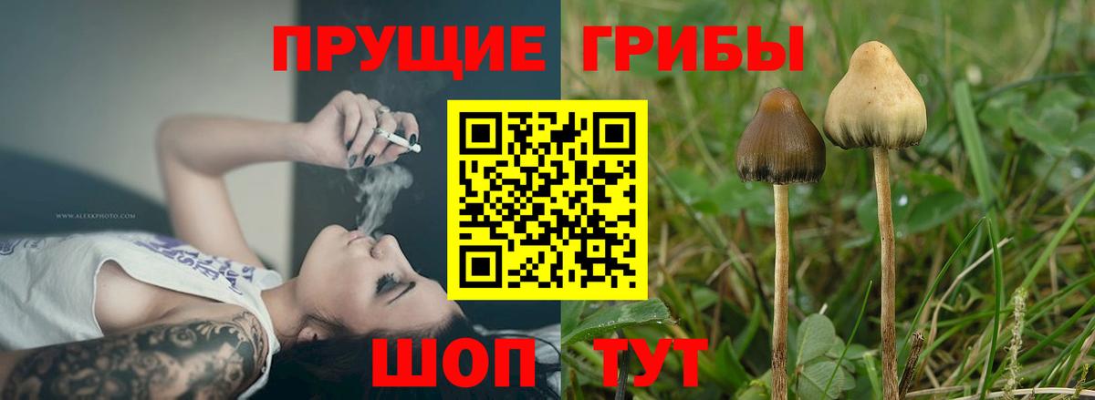 Орёл  Псилоцибиновые грибы мухоморы  Вход с VPN 